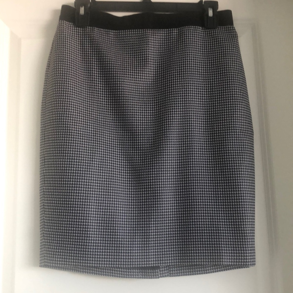 NWT Ann Taylor skirt
